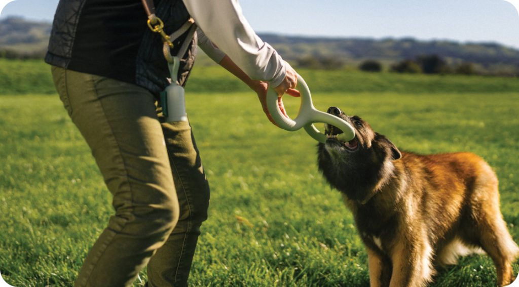 Guy playing with a dog